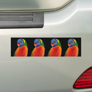 PARROT BUMPER STICKERS