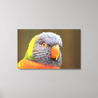 parrot canvas print