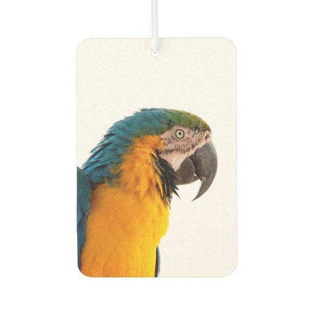 Parrot  car air freshener (Front)