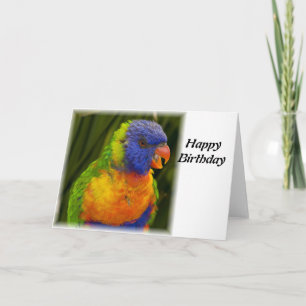 parrot card