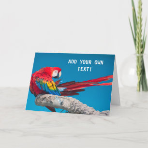 Parrot Card