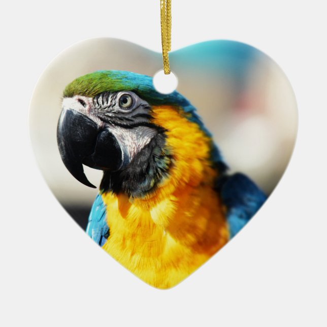 parrot ceramic tree decoration (Front)