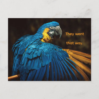 PARROT - CHANGE OF ADDRESS POSTCARD