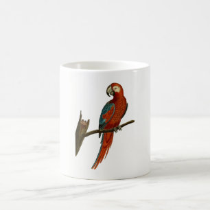 Parrot Coffee Mug