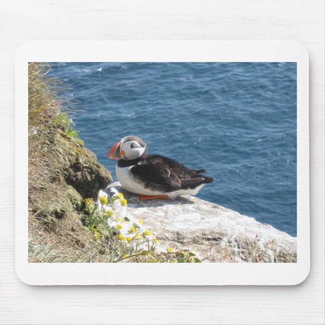 parrot diver mouse pad (Front)