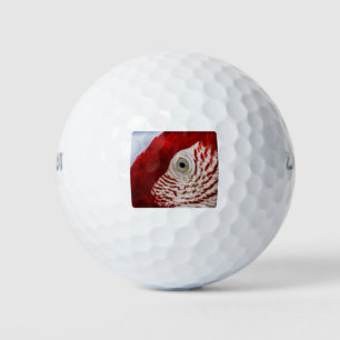 Parrot eye golf balls