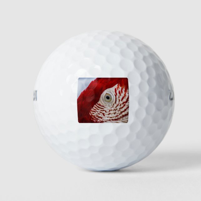 Parrot eye golf balls (Front)
