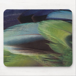 Parrot feather pattern design mouse pad