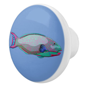 Parrot fish ceramic knob