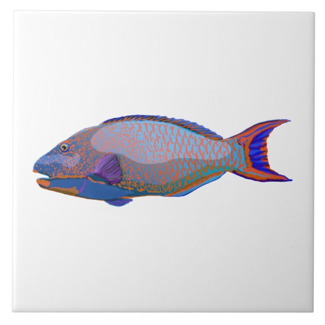 Parrot Fish Tile (Front)