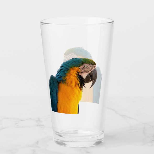 Parrot   glass (Front)