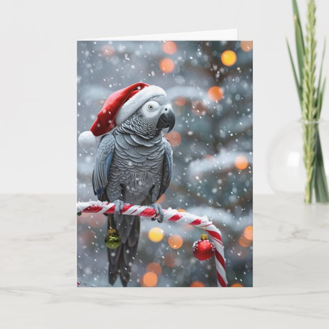 Parrot Holiday Card — Winter Wonder  (Front)