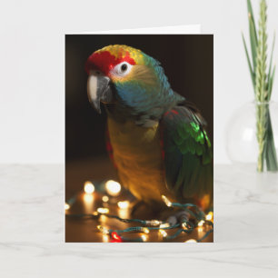 Parrot Holiday Cards 