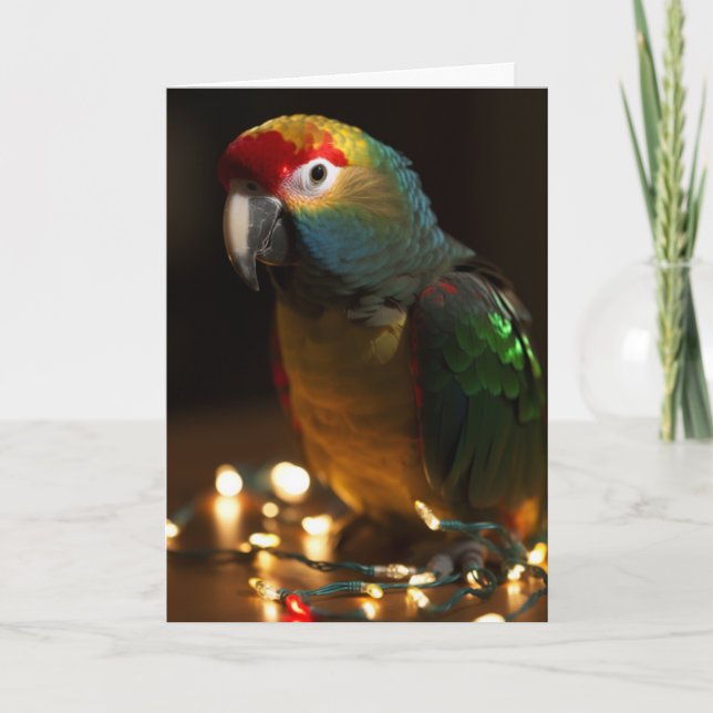 Parrot Holiday Cards  (Front)