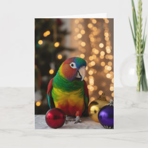 Parrot Holiday Cards 