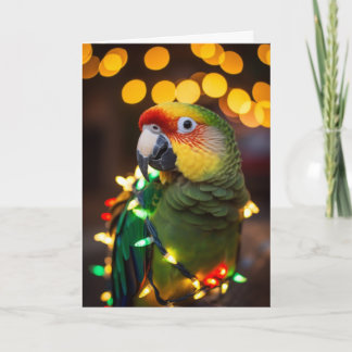  Parrot Holiday Cards 