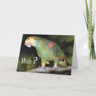Parrot, Huh? Card