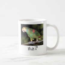 Parrot, Huh?