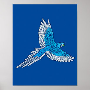 Parrot in Flight, Cobalt Blue and White Poster