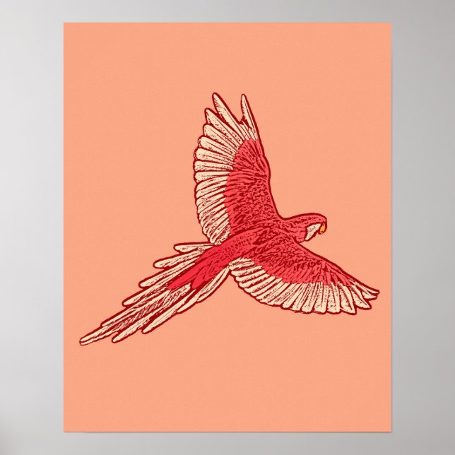 Parrot in Flight, Coral Orange and Cream Poster (Front)