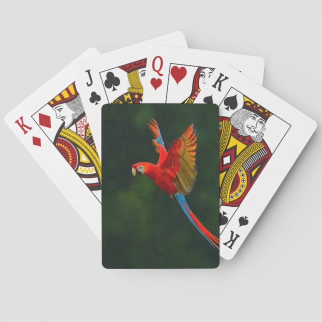 Parrot in Flight Playing Cards (Back)