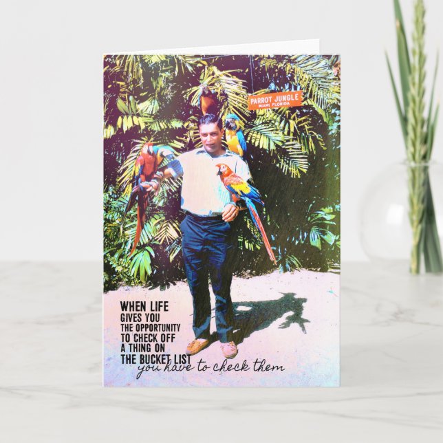 PARROT JUNGLE Greeting Card (Front)