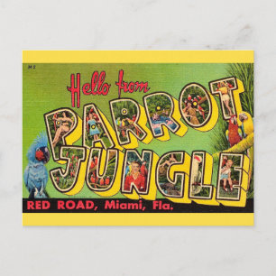 Parrot Jungle Miami Vintage Postcard
