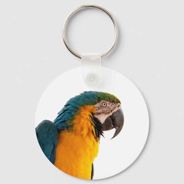 Parrot  key ring (Front)