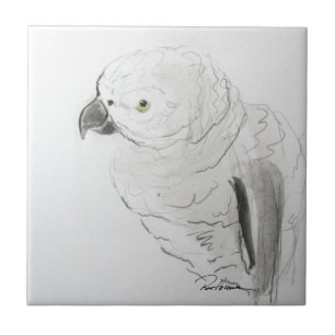 Parrot Listening Closely . . . Tile