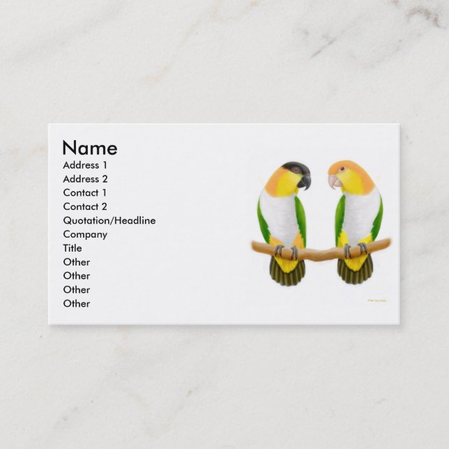 Parrot Love Profile Card (Front)