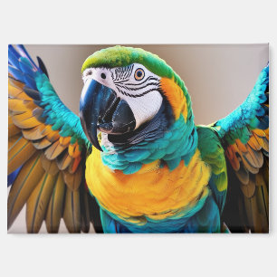 Parrot  magnet