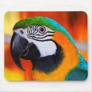 Parrot Mouse Pad