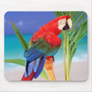 Parrot Mouse Pad