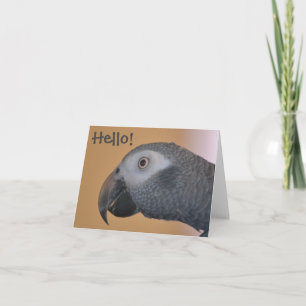 Parrot Note Card
