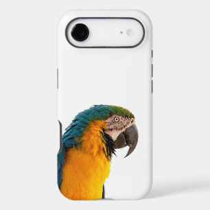 Parrot Notes