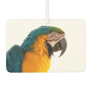 Parrot Notes Car Air Freshener