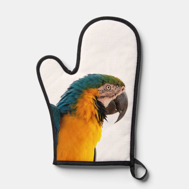 Parrot Notes Oven Mitt (Front)