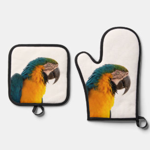 Parrot Notes Oven Mitt & Pot Holder Set