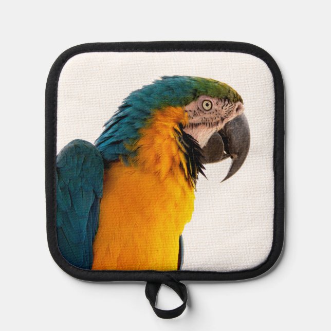 Parrot Notes Pot Holder (Front)
