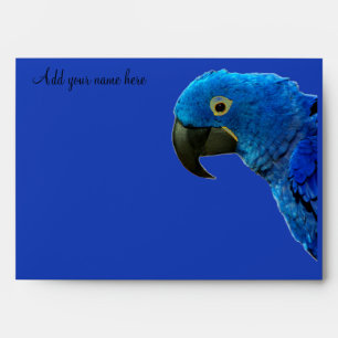 Parrot of Love_ Envelope