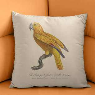 Parrot of Paradise of Cuba, Psittacus Paradisi Cushion