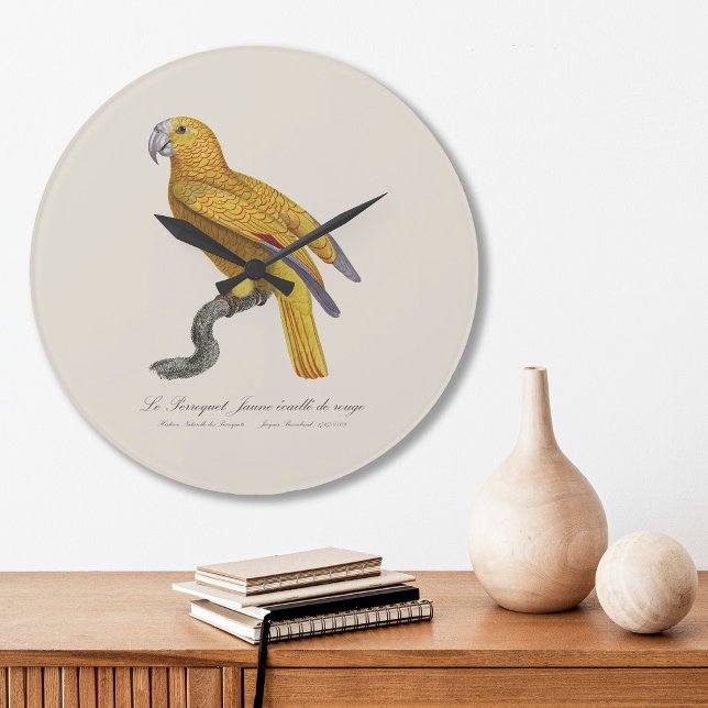Parrot of Paradise of Cuba, Psittacus Paradisi Large Clock (Le Perroquet Jaune ecaille de rouge. Large Clock)