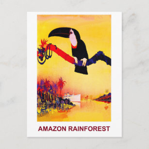 Parrot on Amazon Rainforest Postcard