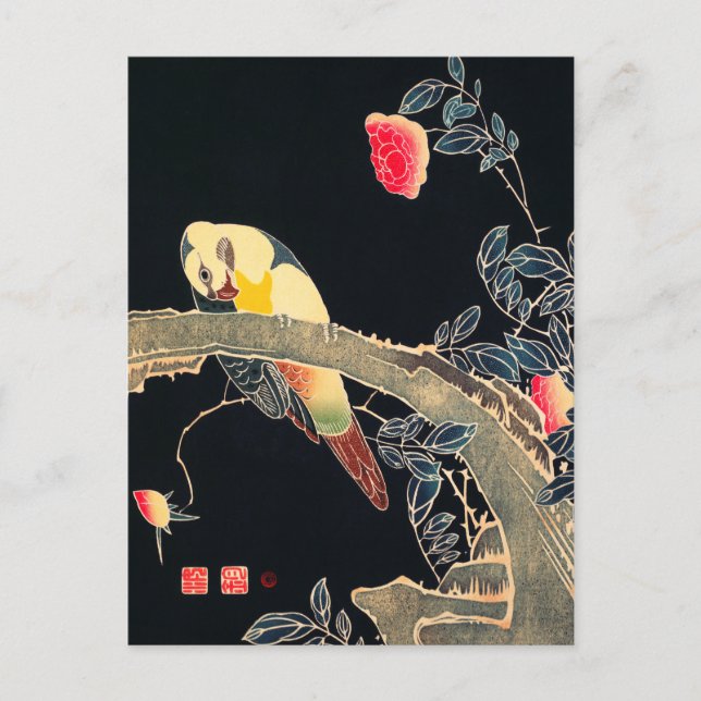 Parrot on the Branch of a Flowering Rose Bush Postcard (Front)