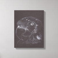 Parrot - Original Drawing - Canvas Print
