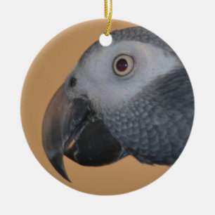 Parrot Ornament