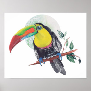 Parrot paint  art print. Exotic bird and moon. Poster