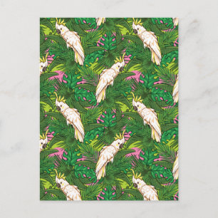 Parrot Pattern With Palm Leaves Postcard