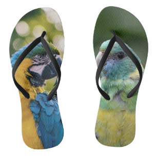 Parrot Patterned Jandals