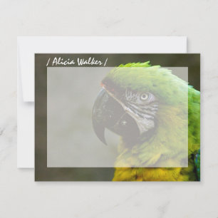 Parrot Photo Personalised Flat Note Cards